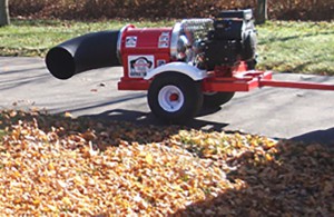 Buffalo Turbine Cyclone Blower